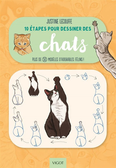 10 ETAPES POUR DESSINER DES CHATS