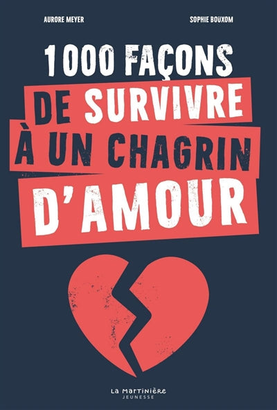 1000 FACONS DE SURVIVRE A UN CHAGRIN D'AMOUR
