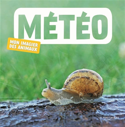 METEO