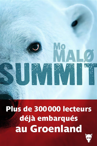 ENQUETES DE QAANAAQ ADRIENSEN T.04 : SUMMIT