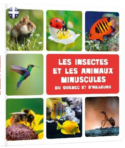 INSECTES ET ANIMAUX MINUSCULES DU QUEBEC ET D'AILLEURS