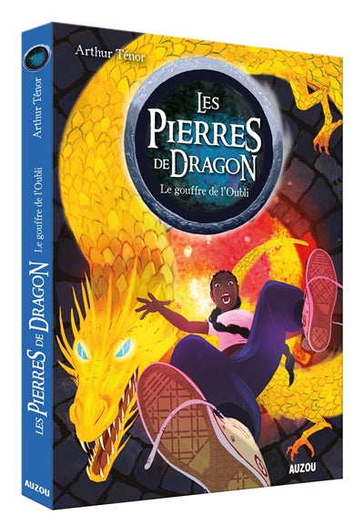 PIERRES DE DRAGON T.02 : LE GOUFFRE DE L'OUBLI