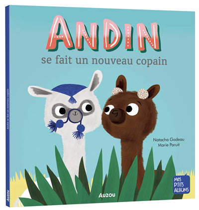 ANDIN SE FAIT UN NOUVEAU COPAIN (REFONTE MPT)