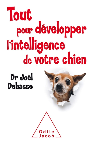 Tout pour developper l'intelligence de mon chien