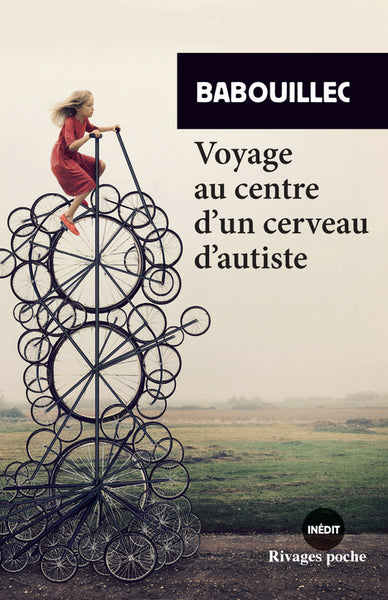 VOYAGE AU CENTRE D'UN CERVEAU D'AUTISTE