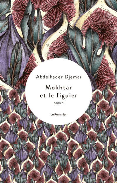 MOKHTAR ET LE FIGUIER