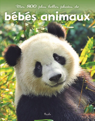 MES 800 PLUS BELLES PHOTOS DE BEBES ANIMAUX