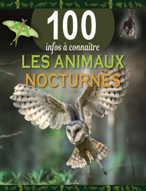 Animaux nocturne