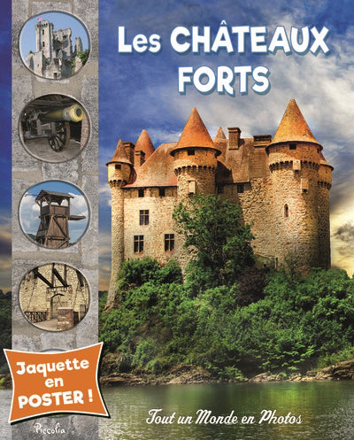 Châteaux forts - Tout un Monde en Photos