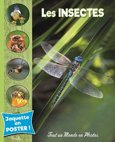 INSECTES