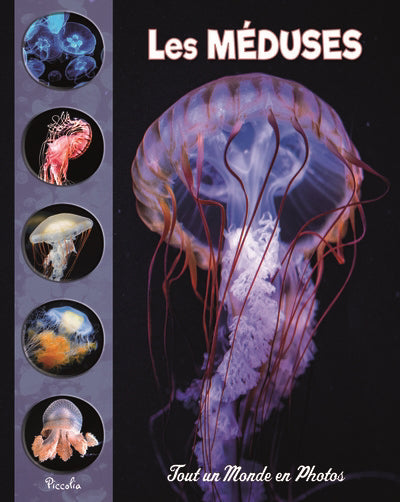 MEDUSES