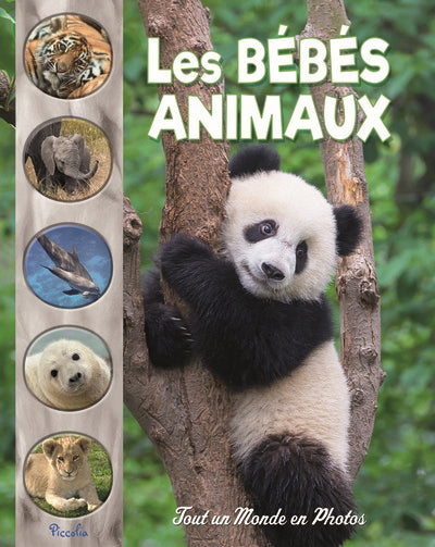 Bébés animaux - Tout un Monde en Photos