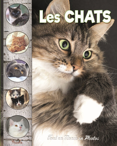CHATS