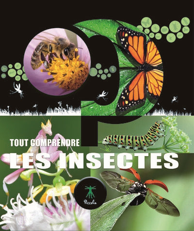 INSECTES N.E.