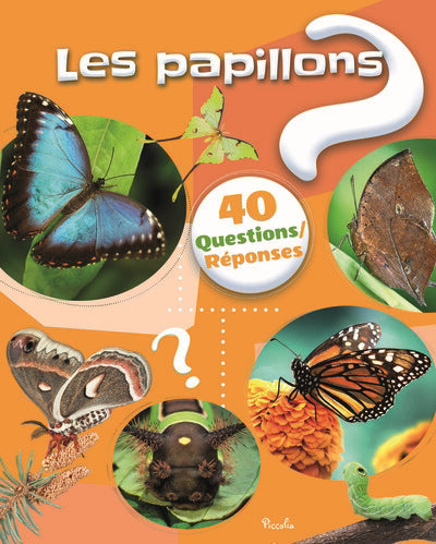 Papillons - 40 Questions/Réponses