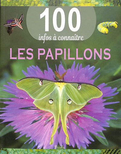 Papillons - 100 infos à connaître
