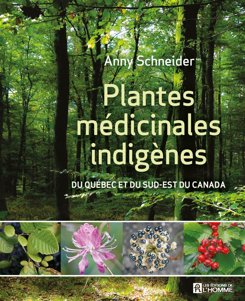 PLANTES MEDICINALES INDIGENES DU QUÉBEC ET DU SUD-EST DU CANADA