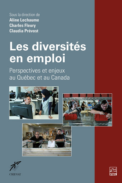 DIVERSITES EN EMPLOI LES  PERSPECTIVES ET ENJEUX AU QUEBEC