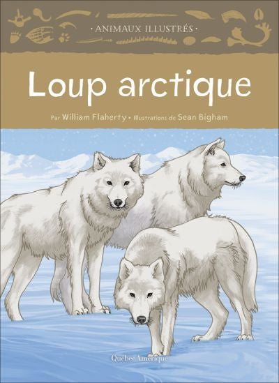 LOUP ARCTIQUE