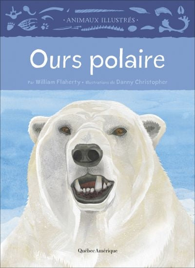 OURS POLAIRE