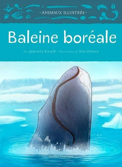 BALEINE BOREALE