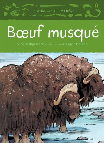 BOEUF MUSQUE