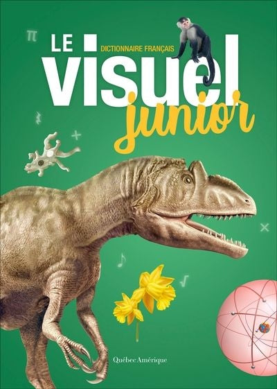 VISUEL JUNIOR                     NE