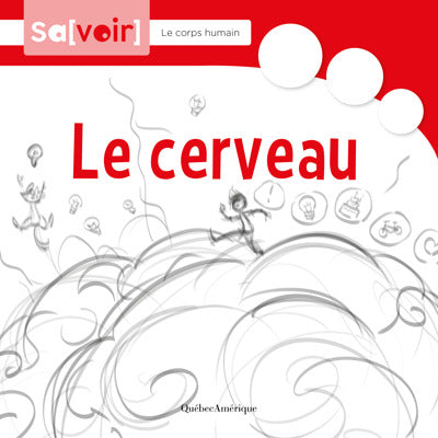 CERVEAU