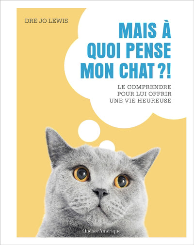 MAIS A QUOI PENSE MON CHAT?!