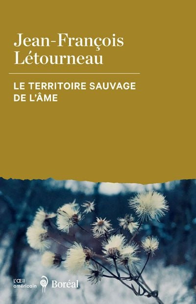 TERRITOIRE SAUVAGE DE L'AME