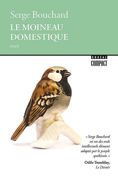 MOINEAU DOMESTIQUE          B.C. 330