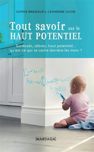 TOUT SAVOIR SUR LE HAUT POTENTIEL