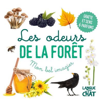 ODEURS DE LA FORET