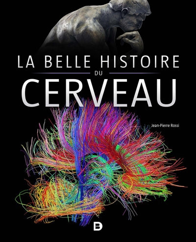 BELLE HISTOIRE DU CERVEAU