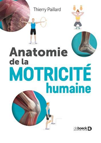 ANATOMIE DE LA MOTRICITÉ HUMAINE