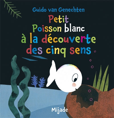 PETIT POISSON BLANC A LA DECOUVERTE DES CINQ SENS