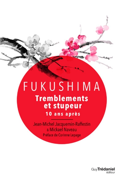 FUKUSHIMA : TREMBLEMENTS ET STUPEUR 10 ANS APRÈS