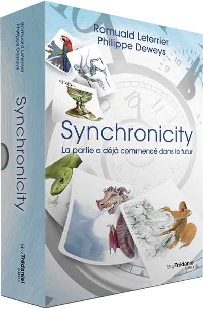 SYNCHRONICITY (COFFRET 100 CARTES + LIVRET)