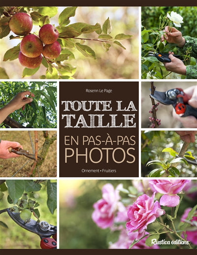 TOUTE LA TAILLE EN PAS-A-PAS PHOTOS