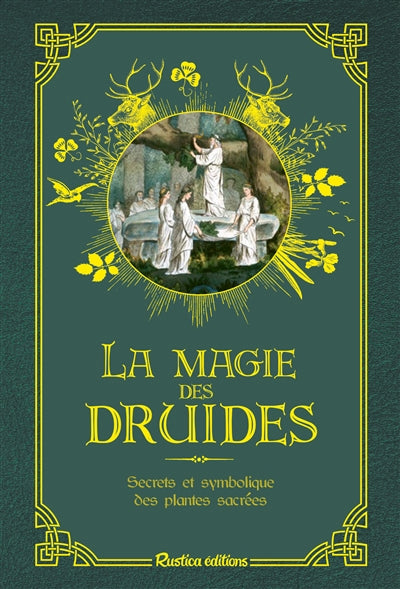 MAGIE DES DRUIDES   SECRETS ET SYMBOLIQUE DES PLANTES...