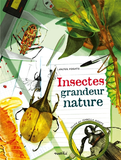 INSECTES GRANDEUR NATURE