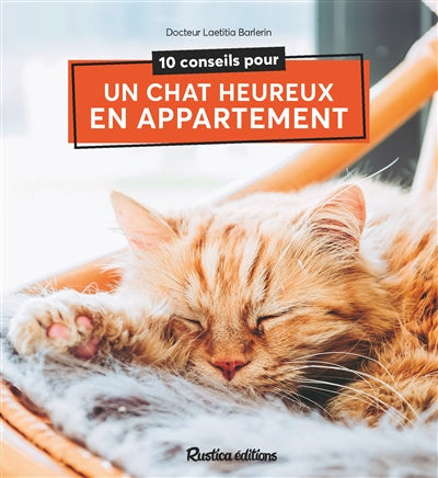 10 CONSEILS POUR UN CHAT HEUREUX EN APPARTEMENT