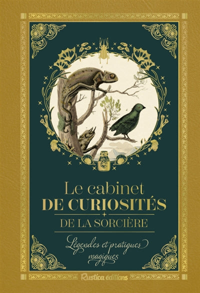 PETIT PRECIEUX CABINET DE CURIOSITES DE LA SORCIERE