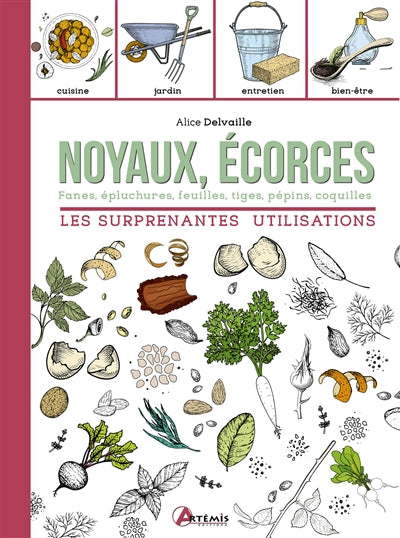 NOYAUX, ECORCES, LES SURPRENANTES UTILISATIONS