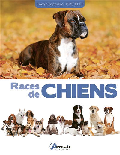 RACES DE CHIENS