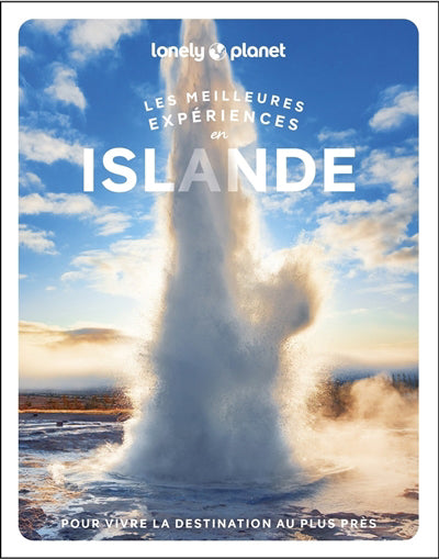 MEILLEURES EXPERIENCES EN ISLANDE + PLAN