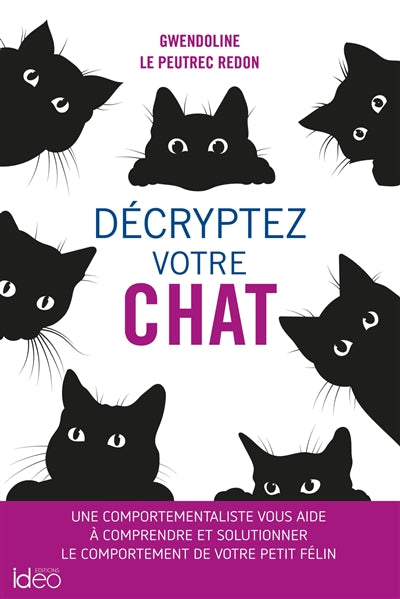 DECRYPTEZ VOTRE CHAT