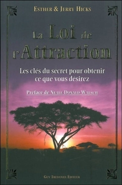 LOI DE L ATTRACTION