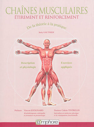 Chaînes musculaires: étirement et renforcement