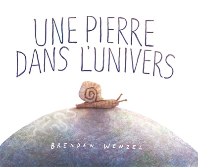 UNE PIERRE DANS L'UNIVERS